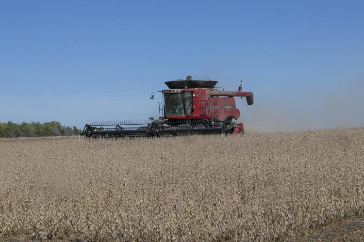 HARVEST IS UNDERWAY