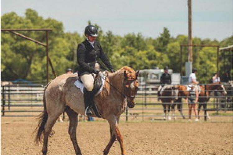 STATE 4-H HORSE SHOW RESULTS