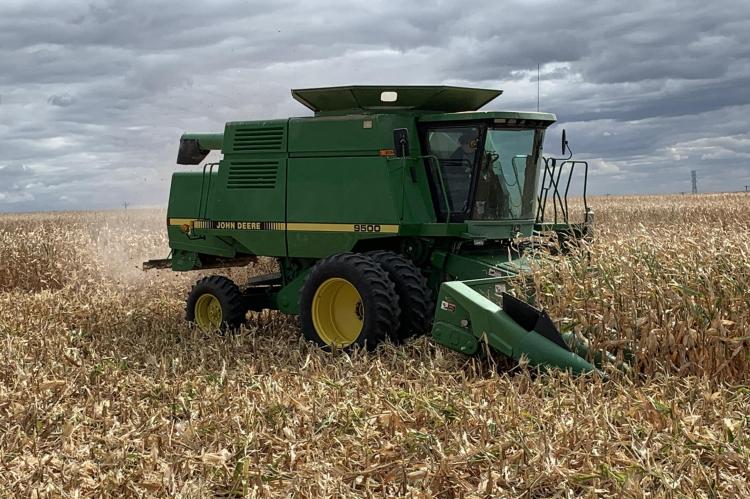 FARMERS REAPING THEIR REWARD