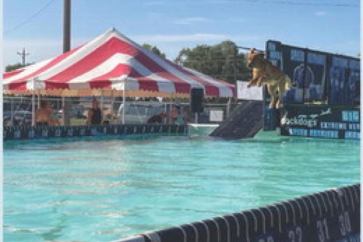 DOCK DOGS AT MCCORMICK PARK