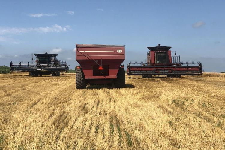 2020 WHEAT HARVEST UNDERWAY