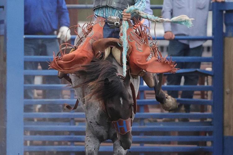 Miles Kreeger participated in the SDRA Rodeo which was held this past weekend in Geddes. Miles entered the saddle bronc riding on Sunday evening where he was matched up with a tough bronc which had Kreeger not making the time despite a great attempt. Phot