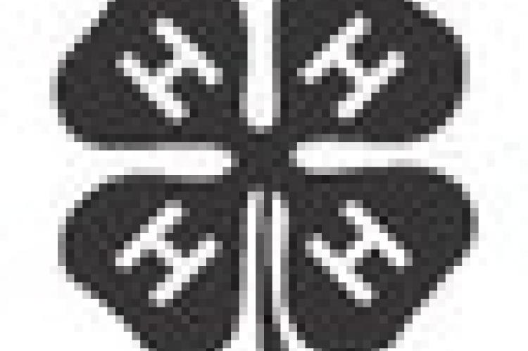 Sweet Clover 4-H Meeting Minutes