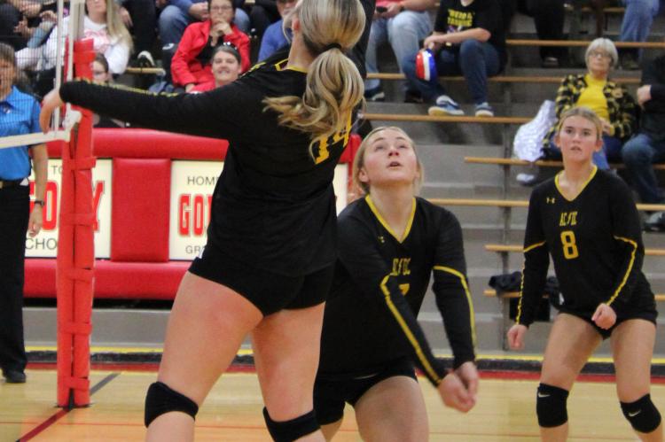 VOLLEYBALL
