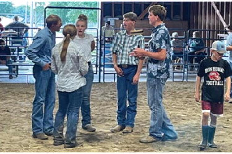 4-H ACHIEVEMENT DAYS HELD