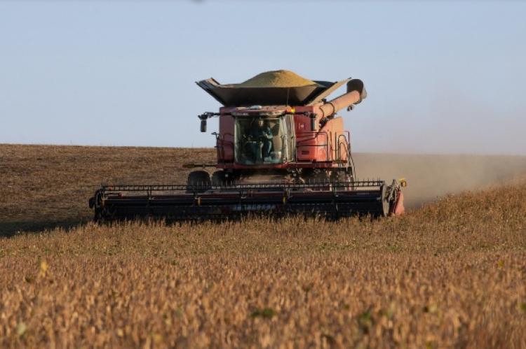 Happy Harvest
