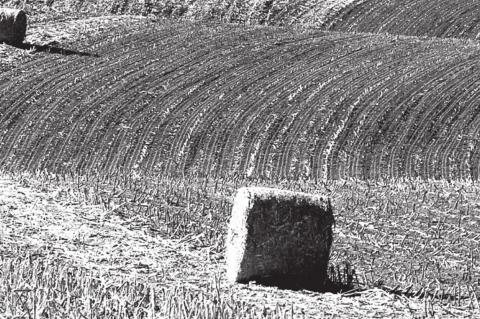 Emergency haying, grazing of conservation reserve program acres available to help livestock producers weather drought