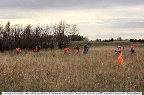 PHEASANT SEASON BEGINS