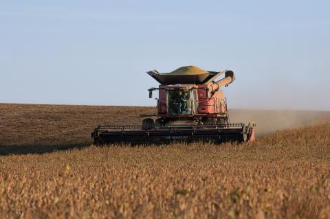 Happy Harvest