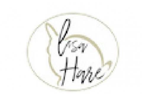 THE NATURE OF THINGS BY LISA HARE