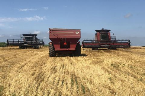 2020 WHEAT HARVEST UNDERWAY