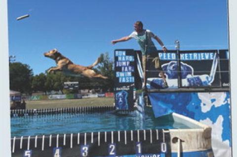 NEW EVENT: DOCK DOGS