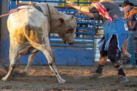 LOCALS PARTICIPATE AT GEDDES FINALS