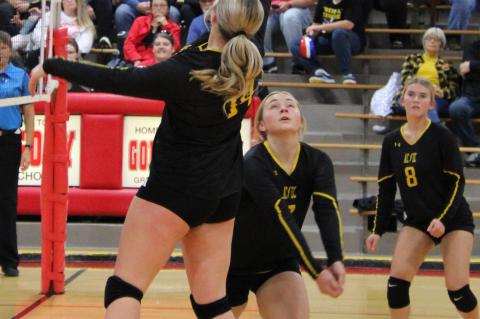 VOLLEYBALL