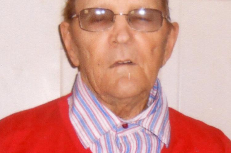 Article Image Alt Text