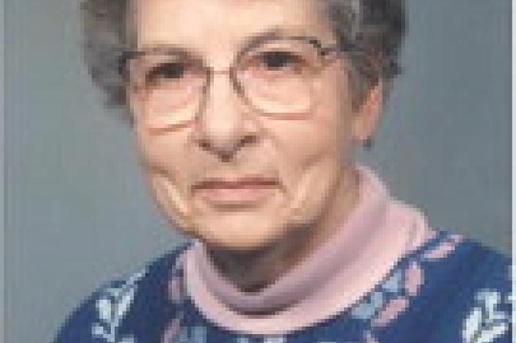 Article Image Alt Text