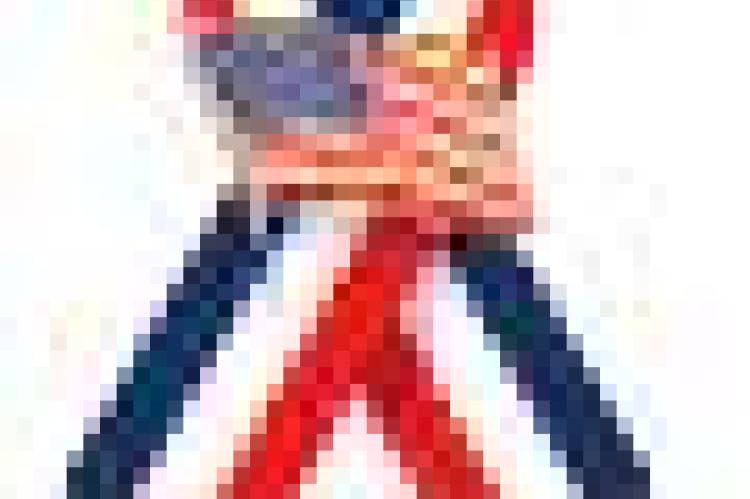 Article Image Alt Text