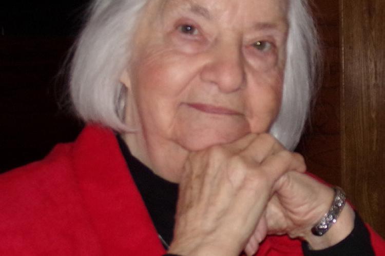 Article Image Alt Text