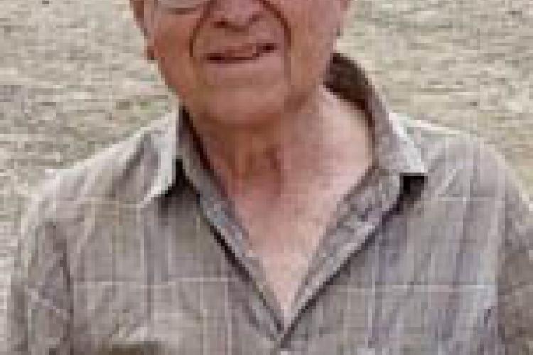 Article Image Alt Text