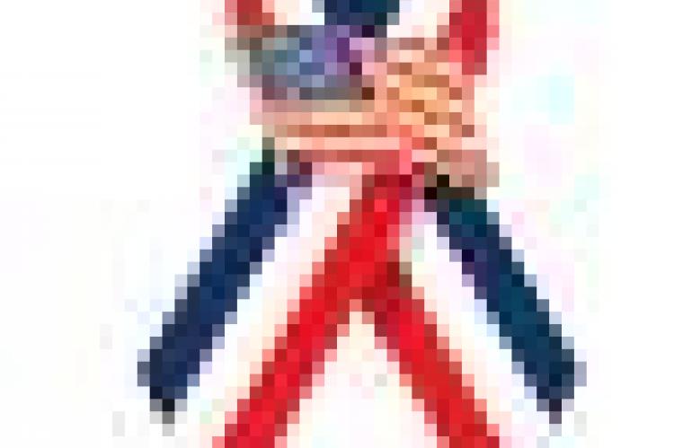 Article Image Alt Text