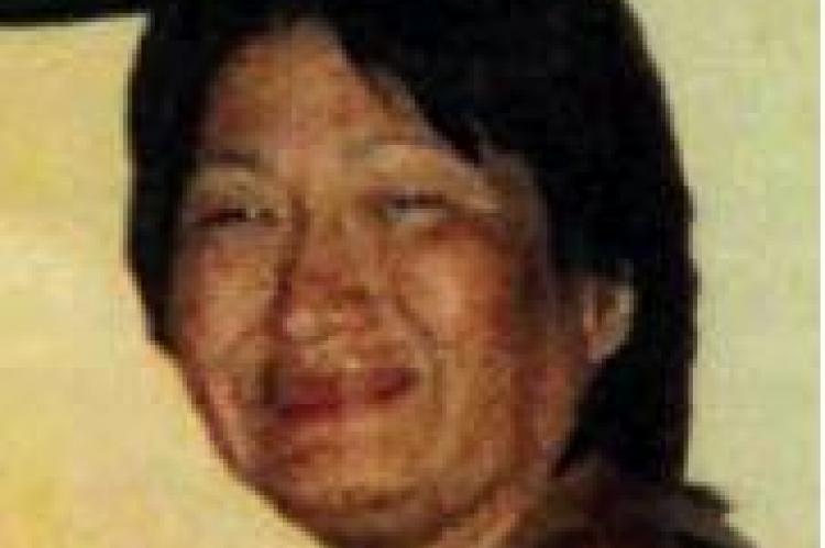 Article Image Alt Text