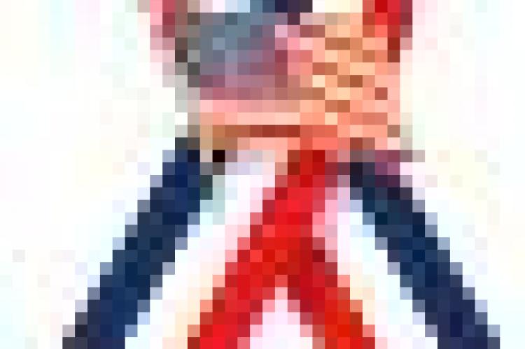 Article Image Alt Text