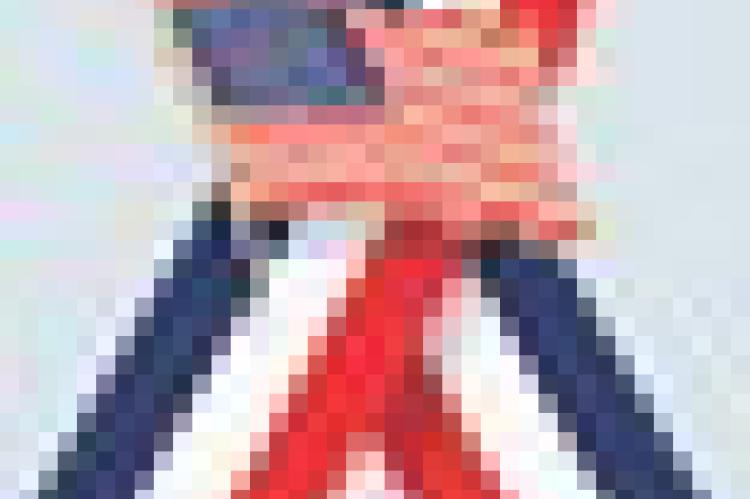 Article Image Alt Text