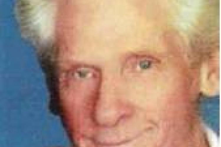 Article Image Alt Text