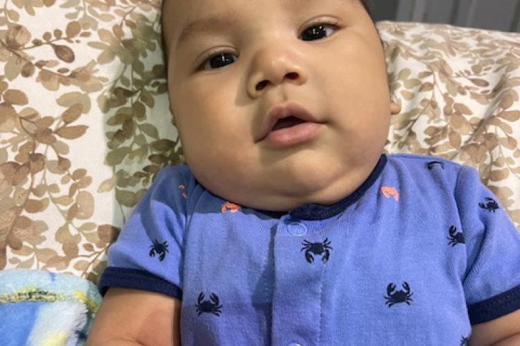 Article Image Alt Text