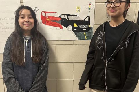 Article Image Alt Text