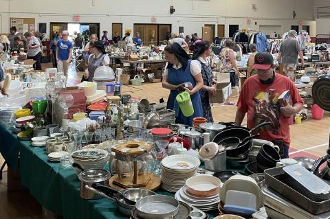 Article Image Alt Text