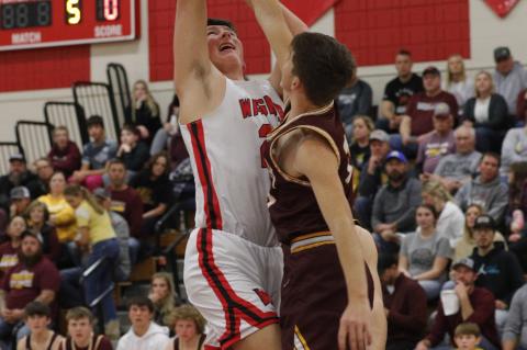 Article Image Alt Text