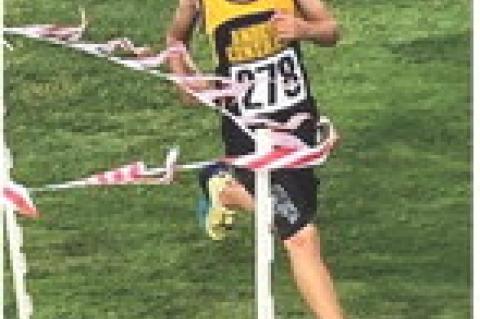 Article Image Alt Text