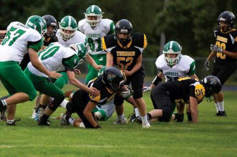 Article Image Alt Text