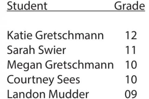 Article Image Alt Text