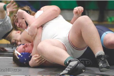 Article Image Alt Text