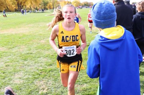 Article Image Alt Text