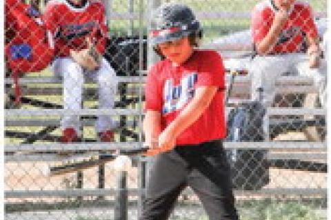 Article Image Alt Text