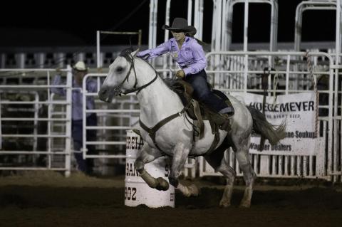 Article Image Alt Text