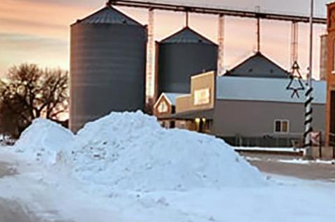 Article Image Alt Text