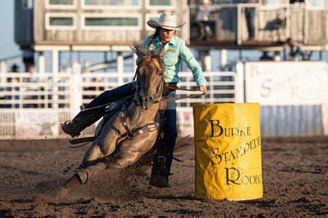 Article Image Alt Text