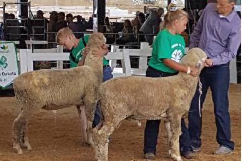 LOCALS COMPETE AT SD STATE FAIR