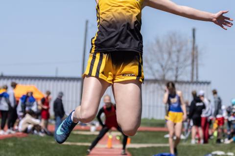 Article Image Alt Text