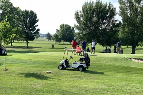 Article Image Alt Text