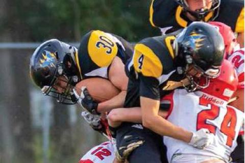 Article Image Alt Text