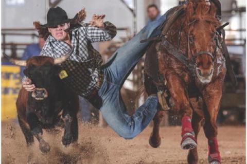 Article Image Alt Text