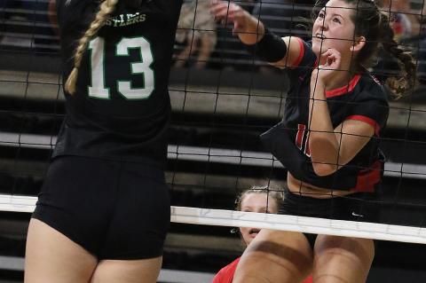 Article Image Alt Text