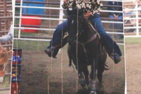 Article Image Alt Text