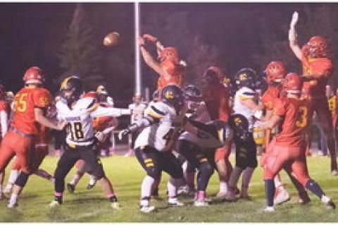 Article Image Alt Text