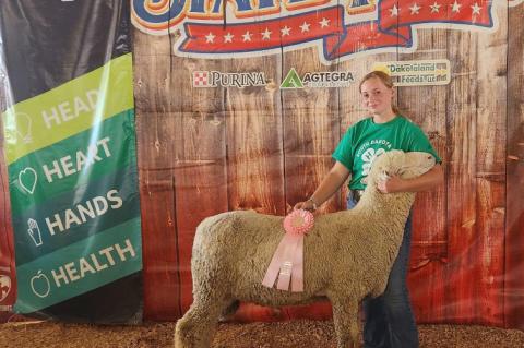 Article Image Alt Text